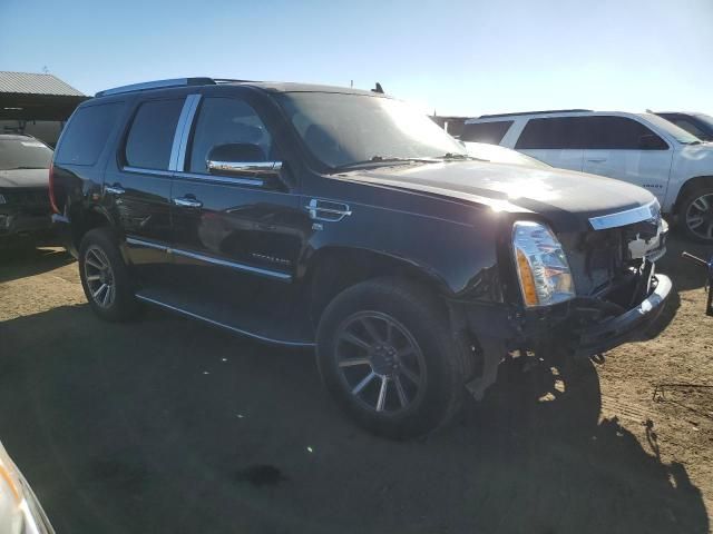 2010 Cadillac Escalade Luxury