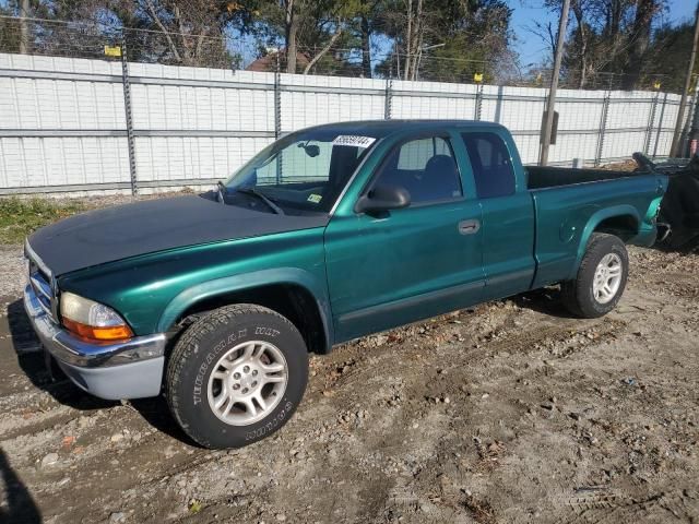 2004 Dodge Dakota SLT