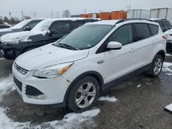 Ford Escape Vehiculos salvage en venta: 2014 Ford Escape SE