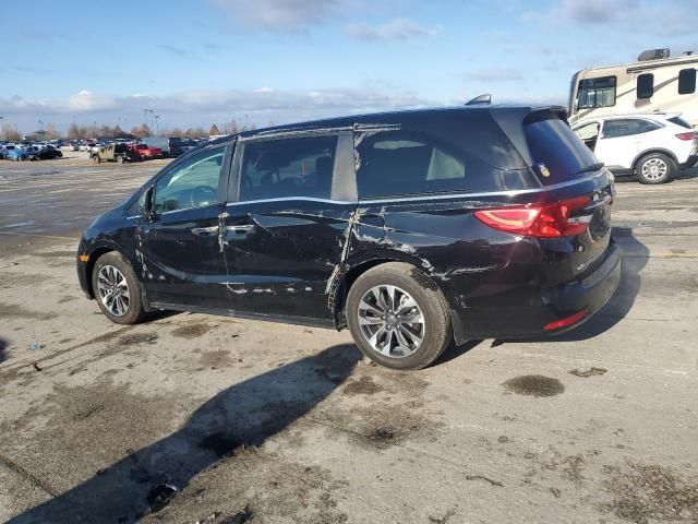 2024 Honda Odyssey EXL