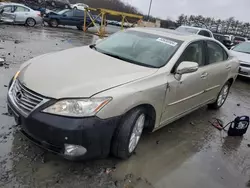 2010 Lexus ES 350 en venta en Windsor, NJ