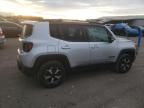 2019 Jeep Renegade Trailhawk