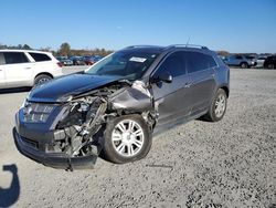 Cadillac srx salvage cars for sale: 2011 Cadillac SRX Luxury Collection