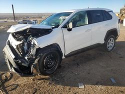 Salvage cars for sale at Albuquerque, NM auction: 2024 Toyota Rav4 LE