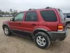 2003 Ford Escape XLT