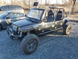 2016 Orei Buggy en venta en Marlboro, NY