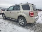 2010 Ford Escape Limited