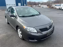 Toyota salvage cars for sale: 2010 Toyota Corolla Base