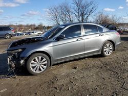 Vehiculos salvage en venta de Copart Baltimore, MD: 2011 Honda Accord EX