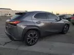 2019 Lexus UX 200