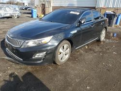 KIA Optima salvage cars for sale: 2015 KIA Optima Hybrid