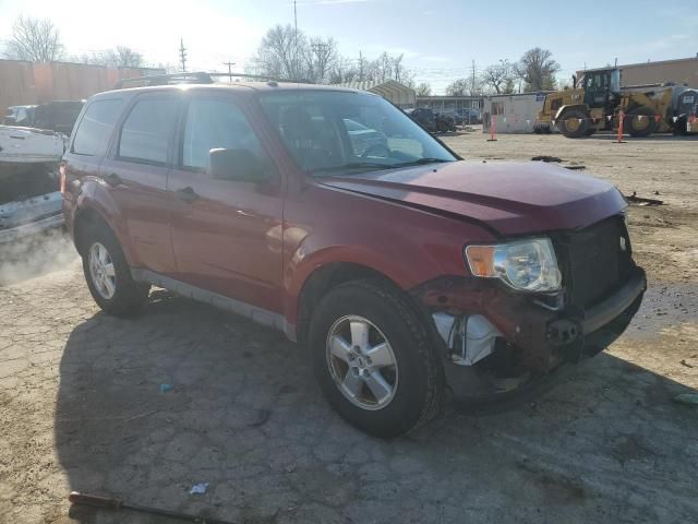 2009 Ford Escape XLT