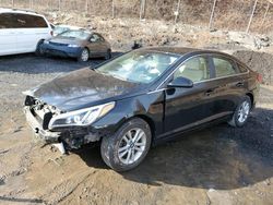 2016 Hyundai Sonata SE en venta en Marlboro, NY