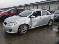 Salvage cars for sale at auction: 2010 Toyota Corolla Base