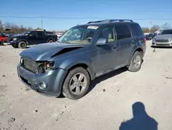 Salvage cars for sale at Lawrenceburg, KY auction: 2012 Ford Escape Limited