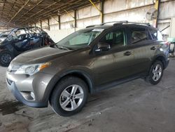 Salvage cars for sale at Phoenix, AZ auction: 2013 Toyota Rav4 XLE