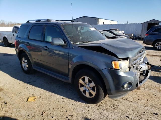 2011 Ford Escape Limited