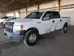 Salvage cars for sale at Phoenix, AZ auction: 2013 Ford F150 Supercrew