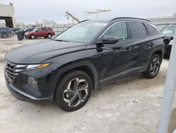 Salvage cars for sale at Kansas City, KS auction: 2024 Hyundai Tucson SEL