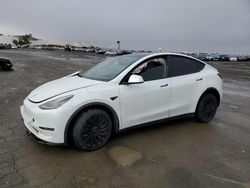 Salvage cars for sale at Martinez, CA auction: 2021 Tesla Model Y