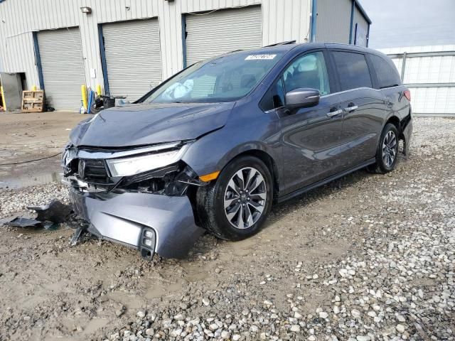 2024 Honda Odyssey EXL