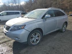 Lexus rx450 Vehiculos salvage en venta: 2010 Lexus RX 450H