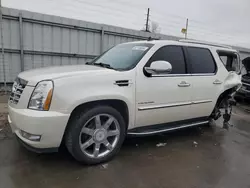 Cadillac Vehiculos salvage en venta: 2012 Cadillac Escalade Luxury