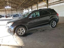 Salvage cars for sale at Phoenix, AZ auction: 2015 Chevrolet Equinox LT