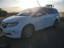 Honda Odyssey exl salvage cars for sale: 2014 Honda Odyssey EXL