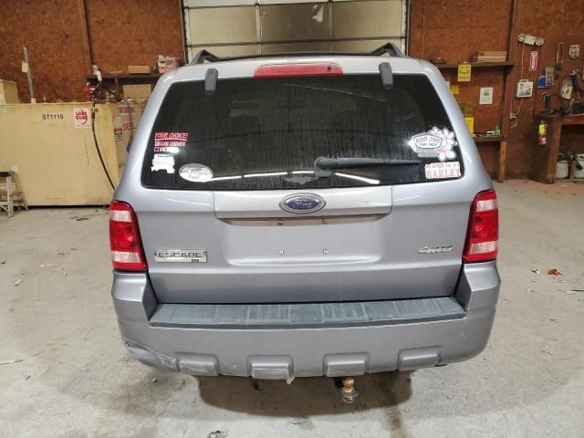 2008 Ford Escape XLT