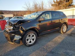 Salvage cars for sale at Grantville, PA auction: 2013 Ford Edge SE