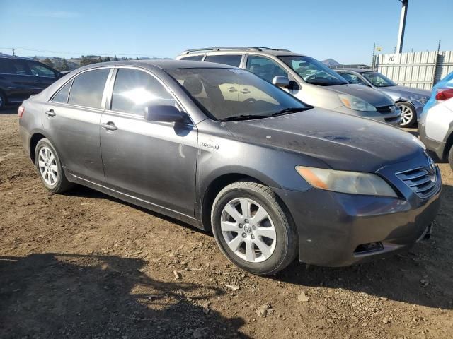 2007 Toyota Camry Hybrid