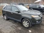 2011 KIA Sorento Base