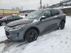 Salvage cars for sale at Marlboro, NY auction: 2020 Ford Escape SE