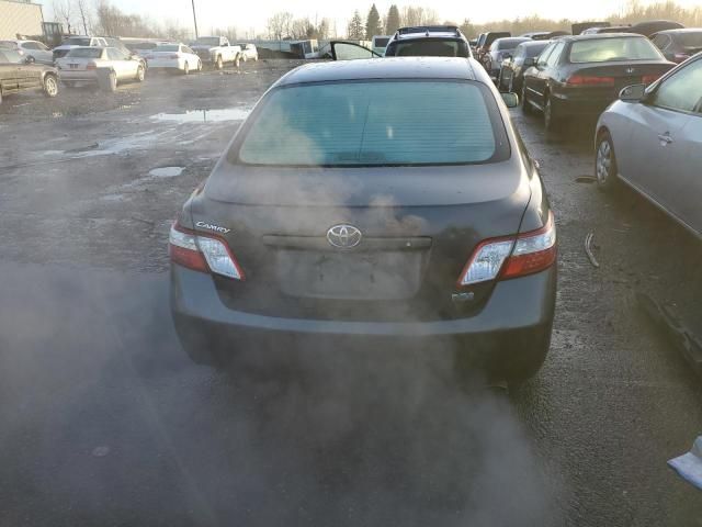 2009 Toyota Camry Hybrid