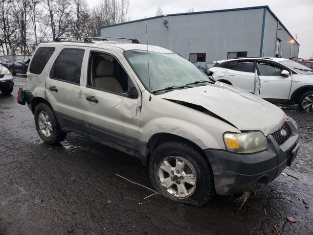 2005 Ford Escape XLT