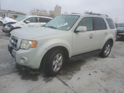 Ford Escape salvage cars for sale: 2009 Ford Escape Limited