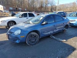 Dodge Neon salvage cars for sale: 2003 Dodge Neon SXT