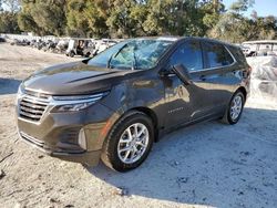 2023 Chevrolet Equinox LT en venta en Ocala, FL