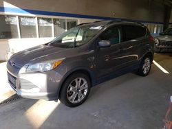 Ford Escape salvage cars for sale: 2013 Ford Escape SE