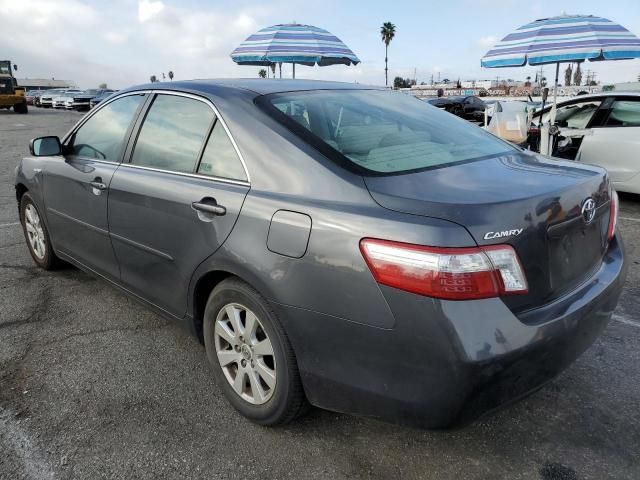 2009 Toyota Camry Hybrid