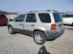 2003 Ford Escape XLT