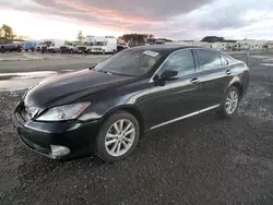 Salvage cars for sale at Lumberton, NC auction: 2011 Lexus ES 350