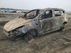 Salvage cars for sale at Fresno, CA auction: 2014 Ford Escape Titanium