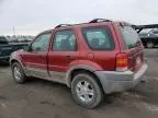 2001 Ford Escape XLT