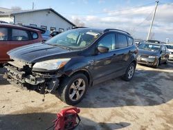 Ford Escape salvage cars for sale: 2015 Ford Escape SE