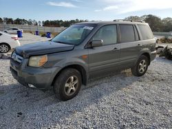 Honda Pilot salvage cars for sale: 2007 Honda Pilot EX