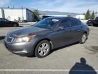 2009 Honda Accord LXP