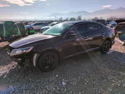 Salvage cars for sale at Magna, UT auction: 2015 KIA Optima LX