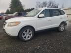 2007 Hyundai Santa FE SE